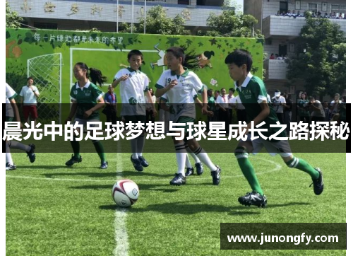 晨光中的足球梦想与球星成长之路探秘