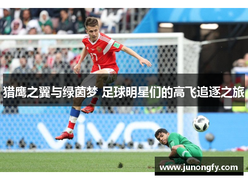 猎鹰之翼与绿茵梦 足球明星们的高飞追逐之旅