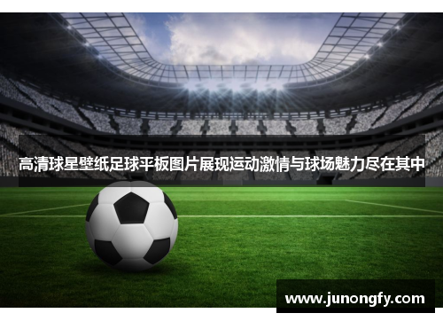 高清球星壁纸足球平板图片展现运动激情与球场魅力尽在其中
