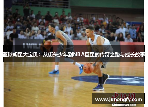 篮球明星大宝贝：从街头少年到NBA巨星的传奇之路与成长故事
